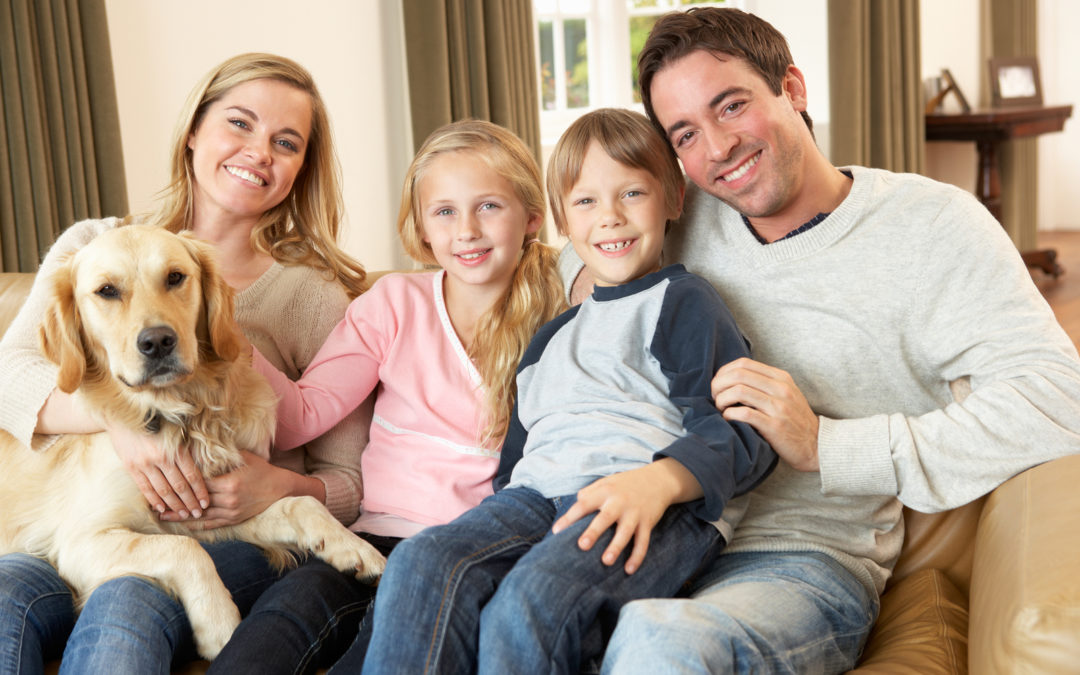 Air Purifiers in Floyds Knobs, IN